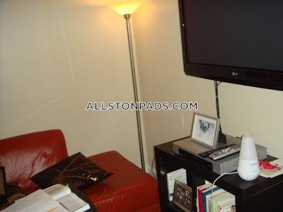 Allston Apartment for rent 1 Bedroom 1 Bath Boston - $2,530