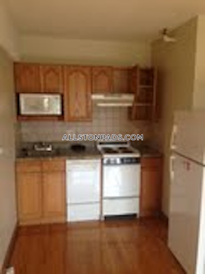 Allston Apartment for rent Studio 1 Bath Boston - $2,150 No Fee