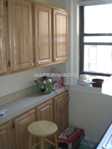 Allston Apartment for rent 1 Bedroom 1 Bath Boston - $2,800