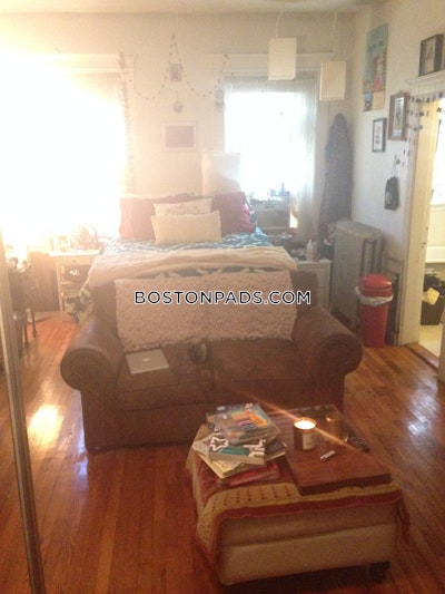 Allston/brighton Border Apartment for rent Studio 1 Bath Boston - $2,145 No Fee