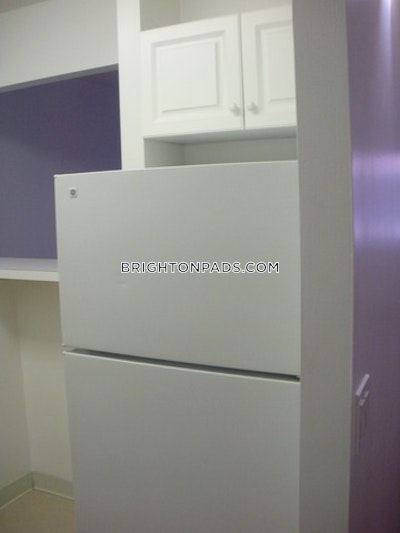Brighton Apartment for rent 1 Bedroom 1 Bath Boston - $3,125