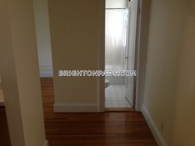 Brighton Apartment for rent 1 Bedroom 1 Bath Boston - $3,050 No Fee