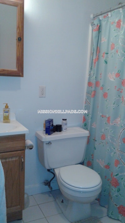Mission Hill Apartment for rent 1 Bedroom 1 Bath Boston - $2,400