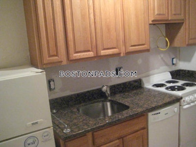 Northeastern/symphony 1 Bed 1 Bath Boston - $3,200