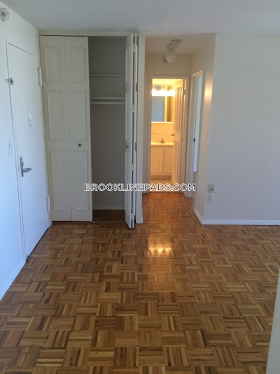 Brookline Apartment for rent 1 Bedroom 1 Bath  Boston University - $3,300