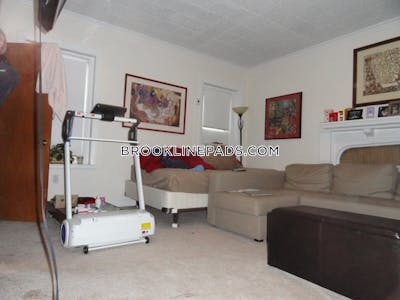 Brookline Apartment for rent Studio 1 Bath  Coolidge Corner - $2,350 No Fee