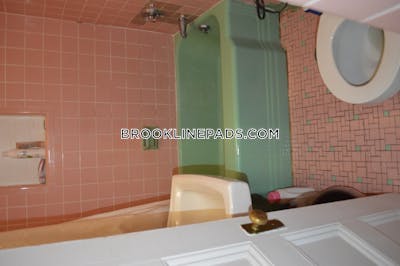 Brookline Apartment for rent 1 Bedroom 1 Bath Coolidge Corner - $2,665 No Fee