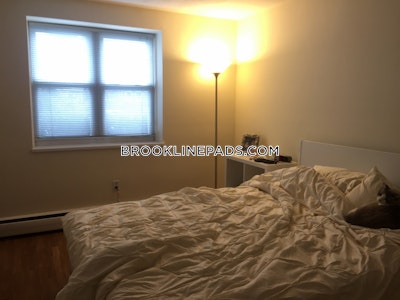Brookline Apartment for rent 1 Bedroom 1 Bath  Boston University - $2,850