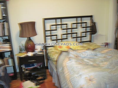 Brookline Apartment for rent 1 Bedroom 1 Bath Washington Square - $2,690 No Fee
