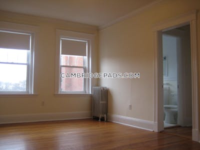Brookline Apartment for rent 1 Bedroom 1 Bath Chestnut Hill - $3,235 No Fee