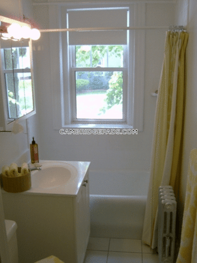 Cambridge Apartment for rent 1 Bedroom 1 Bath  Harvard Square - $3,095 No Fee
