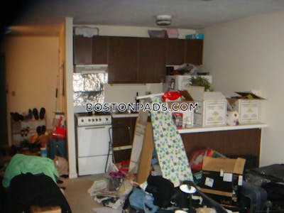 Cambridge Apartment for rent Studio 1 Bath Mt. Auburn/brattle/ Fresh Pond - $2,200 No Fee