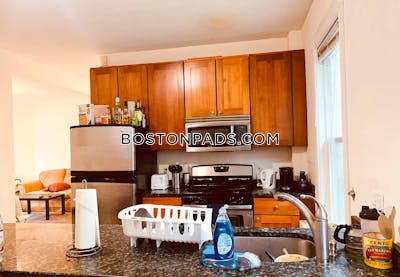 Mission Hill 4 Beds 1 Bath Boston - $4,900