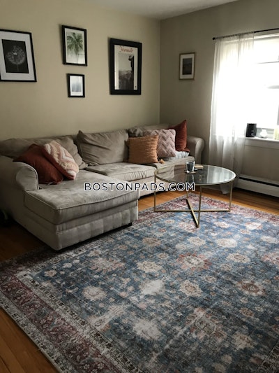 Brighton 2 Beds 1 Bath Boston - $3,100 No Fee