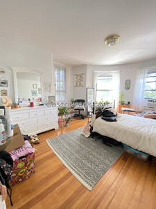 Allston/brighton Border 3 Bed 2 Bath BOSTON Boston - $3,600