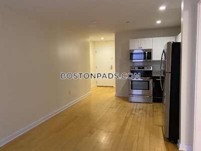 Downtown 1 Bed 1 Bath BOSTON Boston - $3,000 No Fee