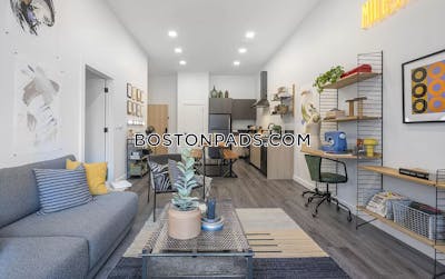 East Boston Studio 1 Bath Boston - $2,415