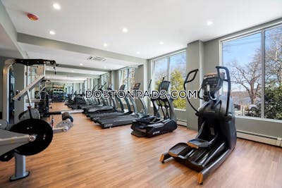 Cambridge 2 Bed 1 Bath CAMBRIDGE  Mt. Auburn/brattle/ Fresh Pond - $3,962