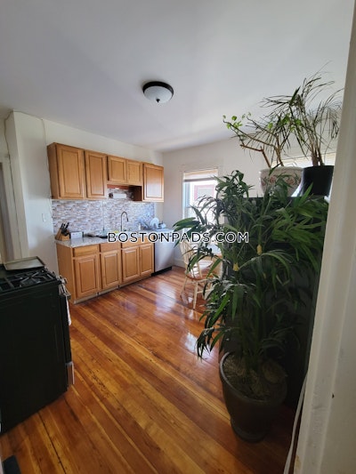 Dorchester 3 Beds 1 Bath Boston - $3,100