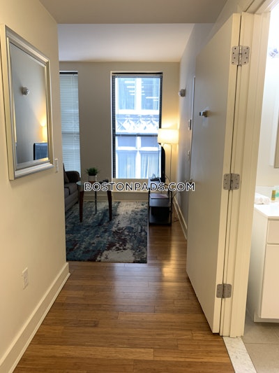 Downtown 1 Bed 1 Bath BOSTON Boston - $3,200 No Fee