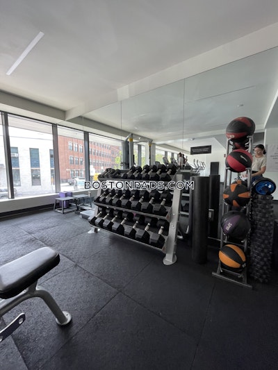 South End 2 Bed 2 Bath BOSTON Boston - $5,025