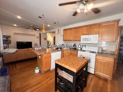 Lower Allston Spacious 3 bed 2 bath available NOW on Aldie St in Boston!  Boston - $3,550