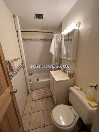 Allston/brighton Border 2 Bed, 1 Bath Unit Boston - $2,895 No Fee