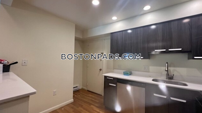 Newton Studio 1 Bath  Chestnut Hill - $2,600