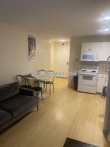 Downtown 1 Bed 1 Bath BOSTON Boston - $3,000 No Fee
