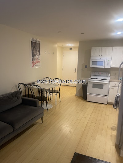 Downtown 1 Bed 1 Bath BOSTON Boston - $3,000 No Fee
