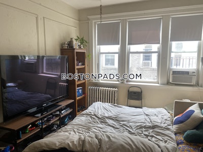 Brighton 1 Bed 1 Bath BOSTON  Boston - $2,595 No Fee