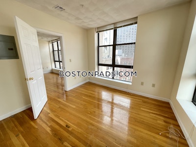 Downtown 1 Bed 1 Bath BOSTON Boston - $3,000 No Fee