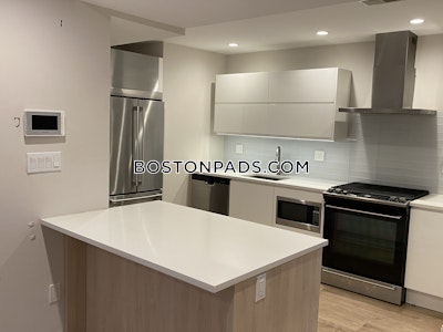 Dorchester/south Boston Border 4 Bed, 2 Bath Unit Boston - $3,900