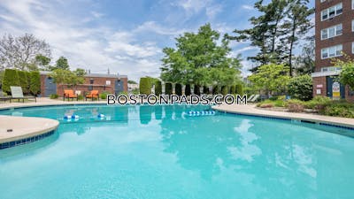 Cambridge 1 Bed 1 Bath CAMBRIDGE  Mt. Auburn/brattle/ Fresh Pond - $2,785