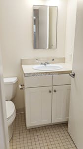 Downtown 1 Bed 1 Bath BOSTON Boston - $3,000 No Fee
