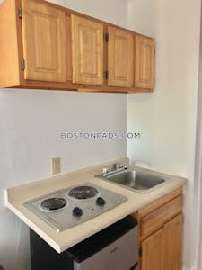 Brookline Delightful Studio 1 Bath on Beacon St. Longwood Area - $1,795 No Fee