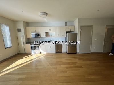 Jamaica Plain Studio 1 Bath Boston - $5,263 No Fee