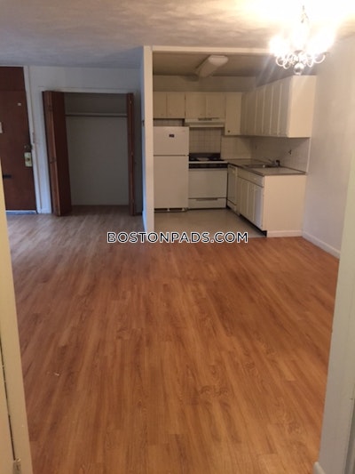 Allston/brighton Border Apartment for rent 1 Bedroom 1 Bath Boston - $2,395 No Fee