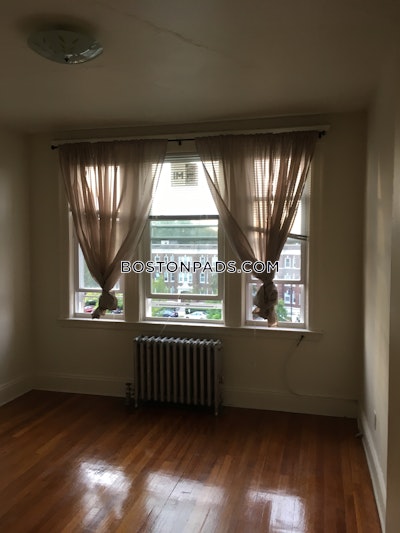 Brighton Apartment for rent 1 Bedroom 1 Bath Boston - $2,365 No Fee