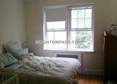 Brighton Apartment for rent 1 Bedroom 1 Bath Boston - $3,025 No Fee