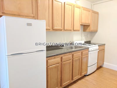 Brighton Apartment for rent 1 Bedroom 1 Bath Boston - $2,295 No Fee