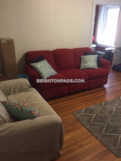 Brighton Apartment for rent 1 Bedroom 1 Bath Boston - $2,400 No Fee