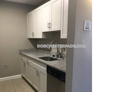 Dorchester Apartment for rent 2 Bedrooms 1 Bath Boston - $3,875