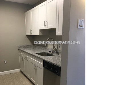 Dorchester Apartment for rent 2 Bedrooms 1 Bath Boston - $3,875