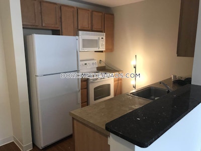Dorchester Apartment for rent 2 Bedrooms 2 Baths Boston - $8,613 No Fee