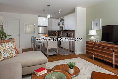Downtown Apartment for rent 1 Bedroom 1 Bath Boston - $3,400