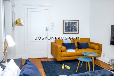 Fenway/kenmore Apartment for rent 1 Bedroom 1 Bath Boston - $3,000 No Fee