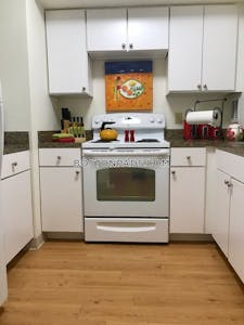 Northeastern/symphony 1 Bed 1 Bath Boston - $4,200
