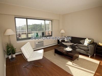 South End Apartment for rent 1 Bedroom 1 Bath Boston - $3,425