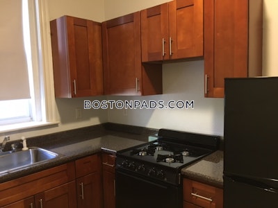 Brighton 0 Bed 1 Bath BOSTON Boston - $2,215 No Fee